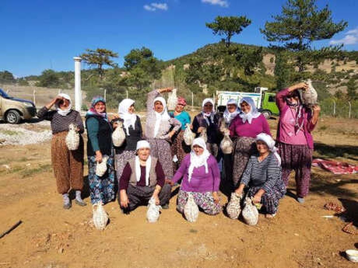 Toprak Testi Yapım Kursuna İlgi Büyük