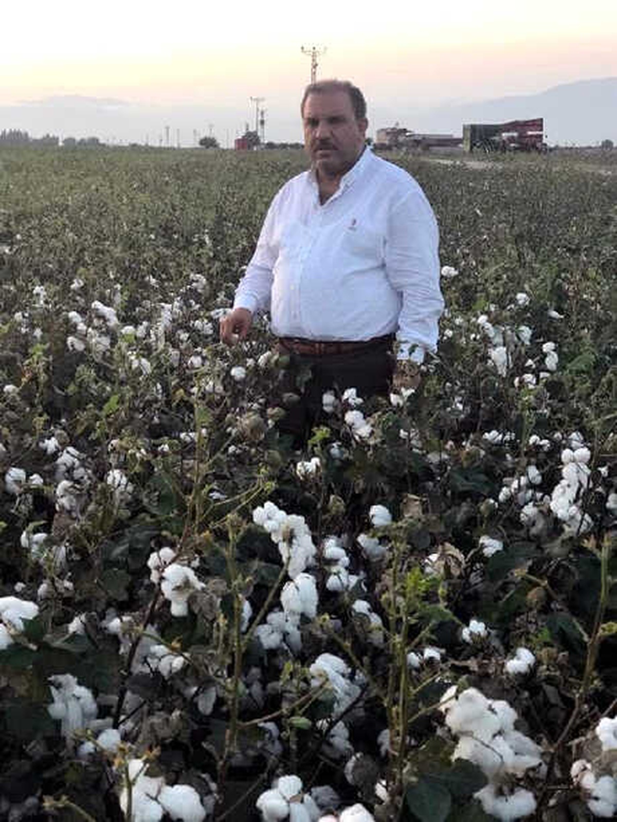Zaroğlu: Pamuk Fiyatı İyi Ama Girdiler Yüksek