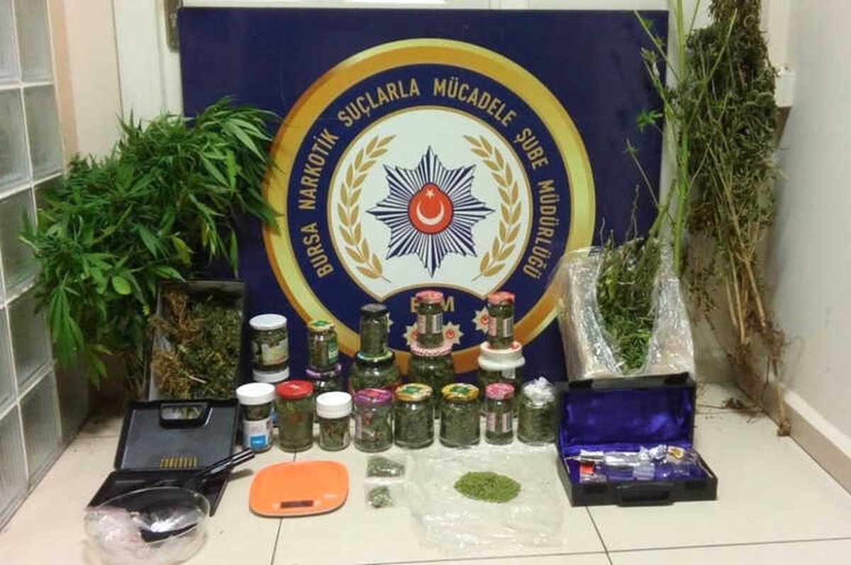 Kenevir Ektikleri Bahçeye "Gelincik Bahçesi" Levhası Diktiler