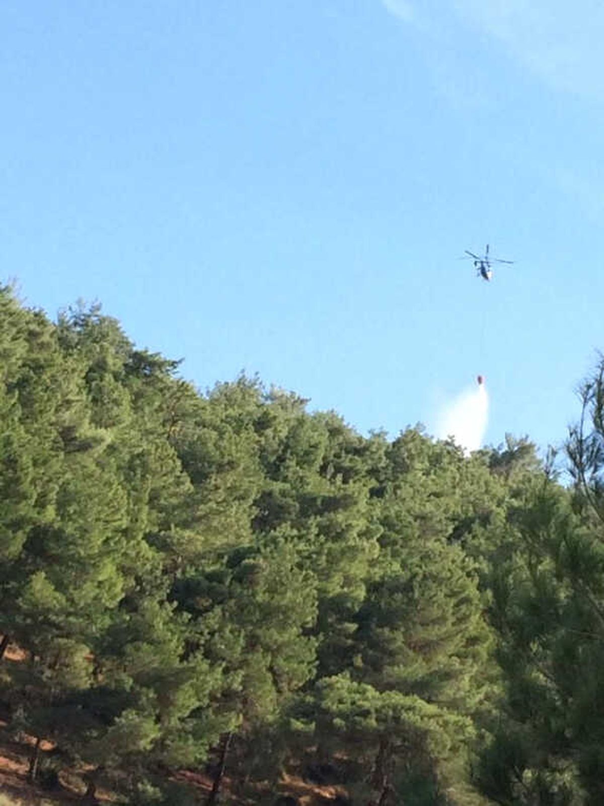 Manisa\'da Orman Yangını