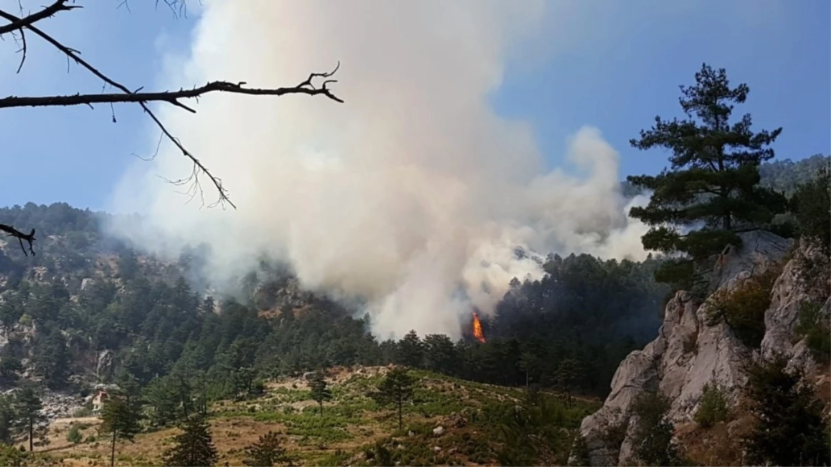 Adana\'daki Orman Yangınında 3 Hektar Ormanlık Alan Kül Oldu