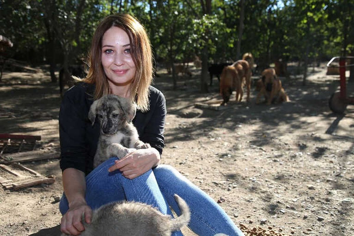 Bahçesinde Sokaklardan Kurtardığı 100 Köpeğe Bakıyor