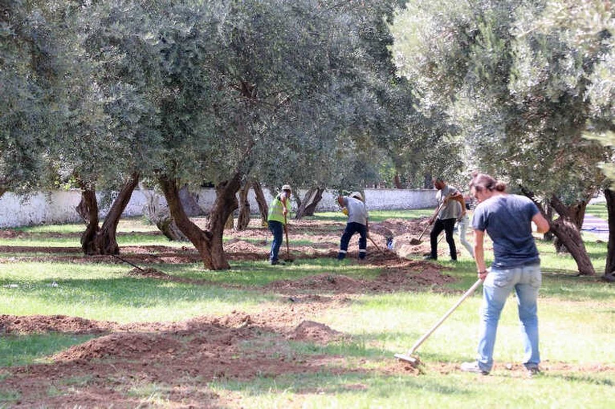 Bayraklı\'nın Parklarına Akıllı Sulama Sistemi