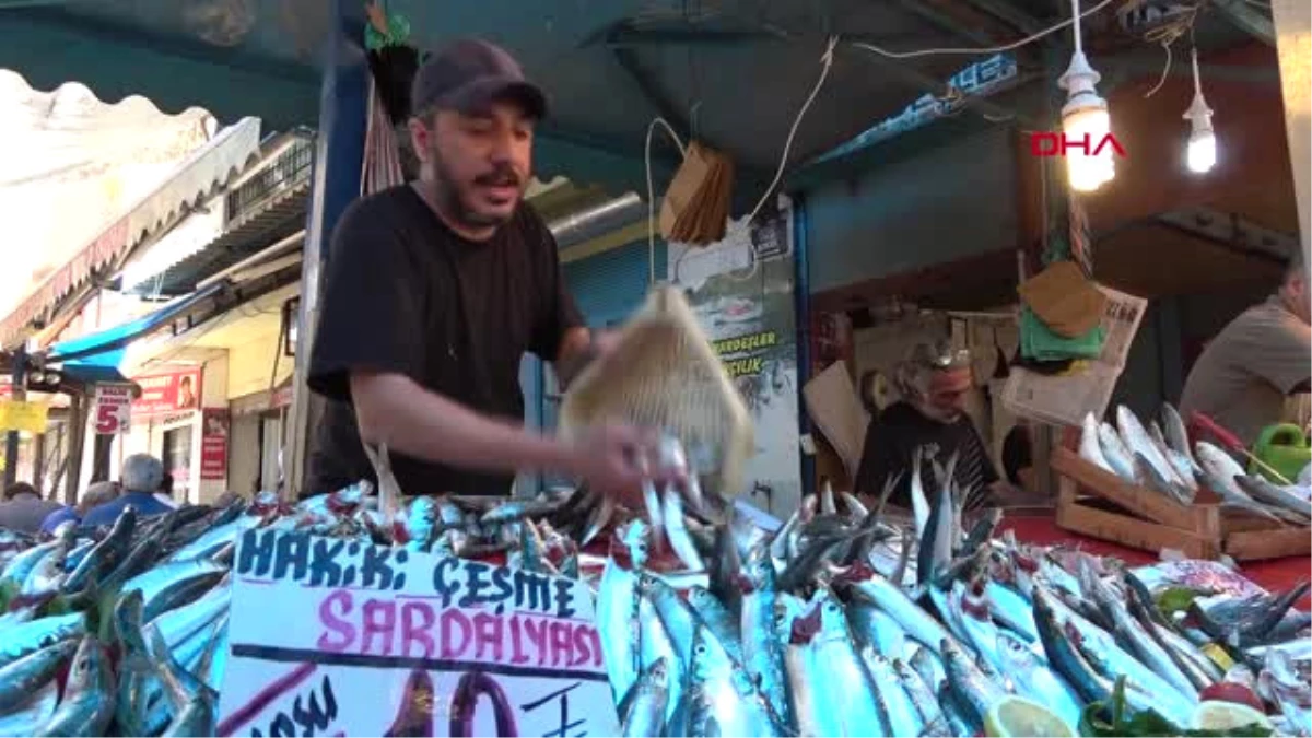 İzmir Tezgahlarda Balık Bolluğu Yaşanıyor Hd