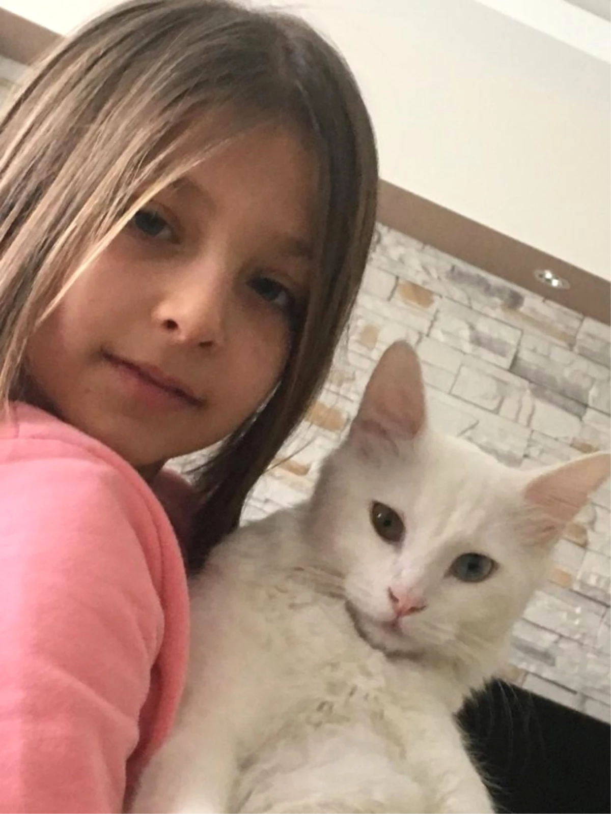Minik Zeynep, Kaybolan Kedisini Her Yerde Arıyor