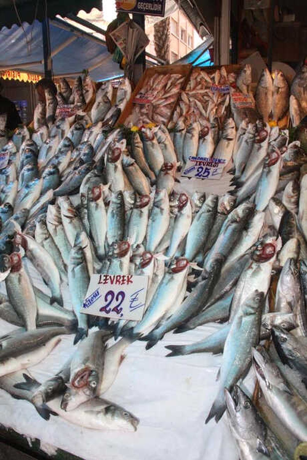Tezgahlarda Balık Bolluğu