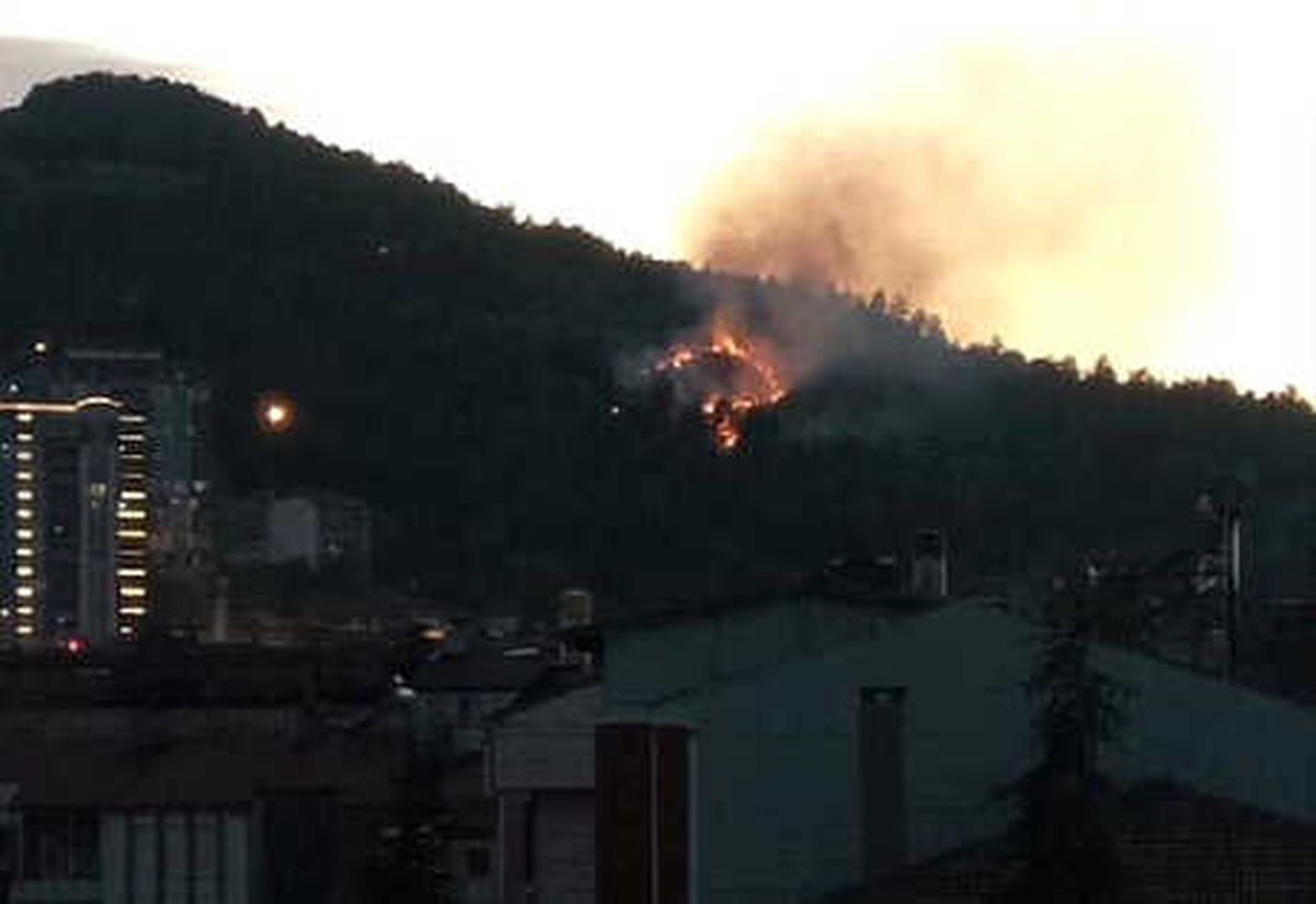Tokat\'ta Ormanlık Alanda Yangın