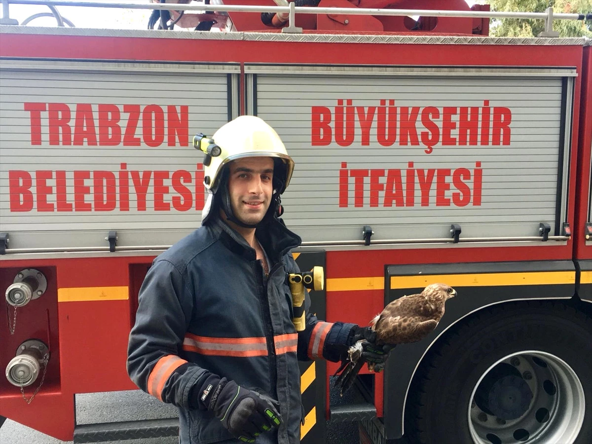Trabzon\'da İtfaiye Ekipleri, Mahsur Kalan Hayvanları Kurtardı