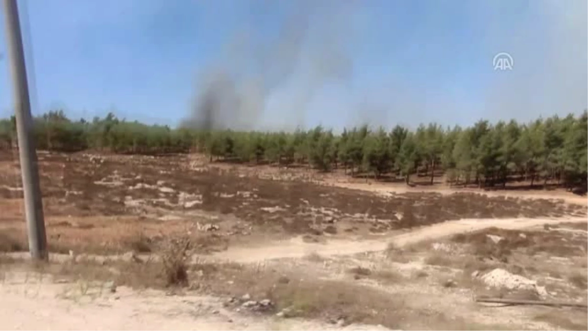 Afrin\'de Orman Yangını