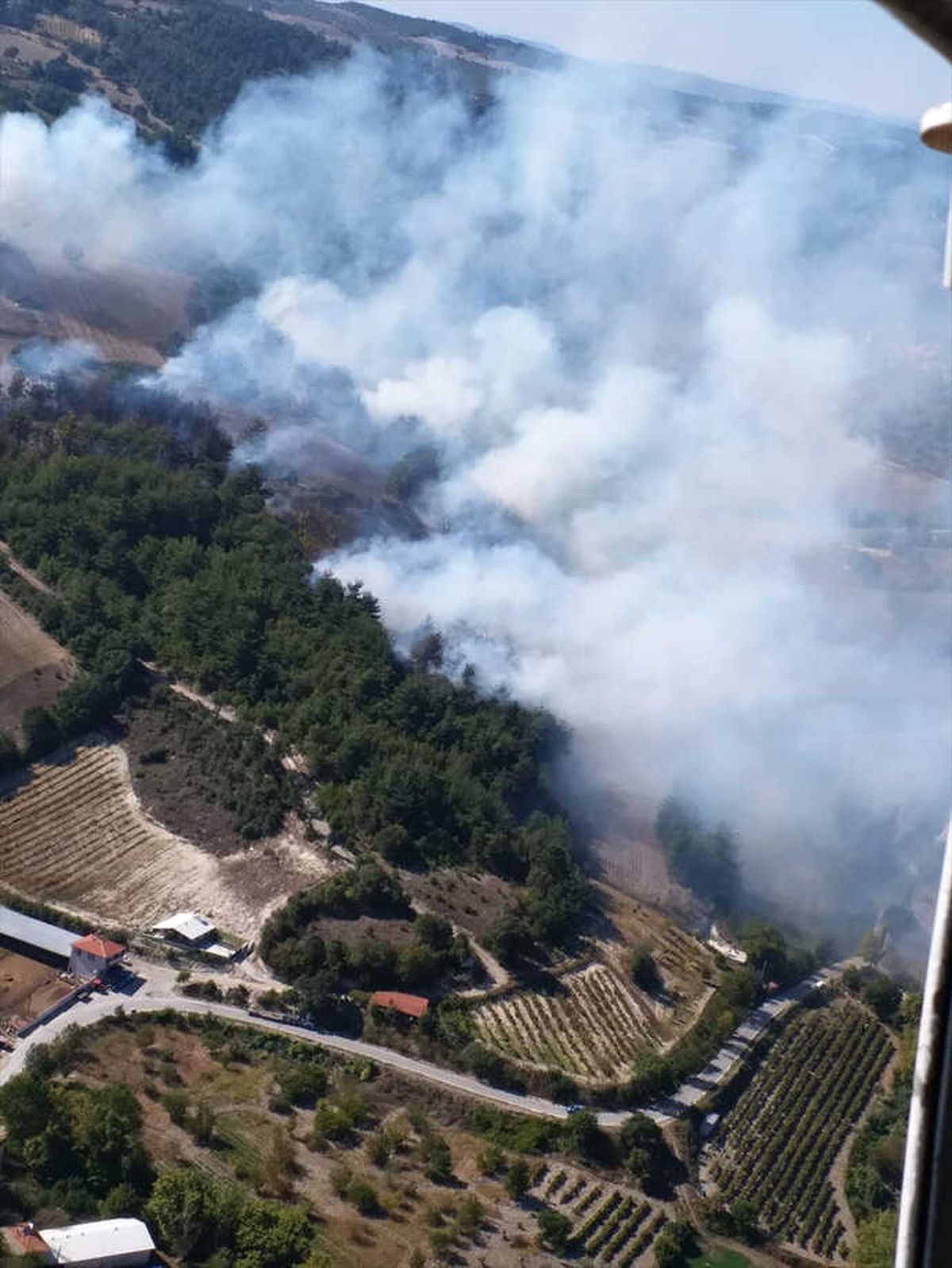 Balıkesir\'de Orman Yangını