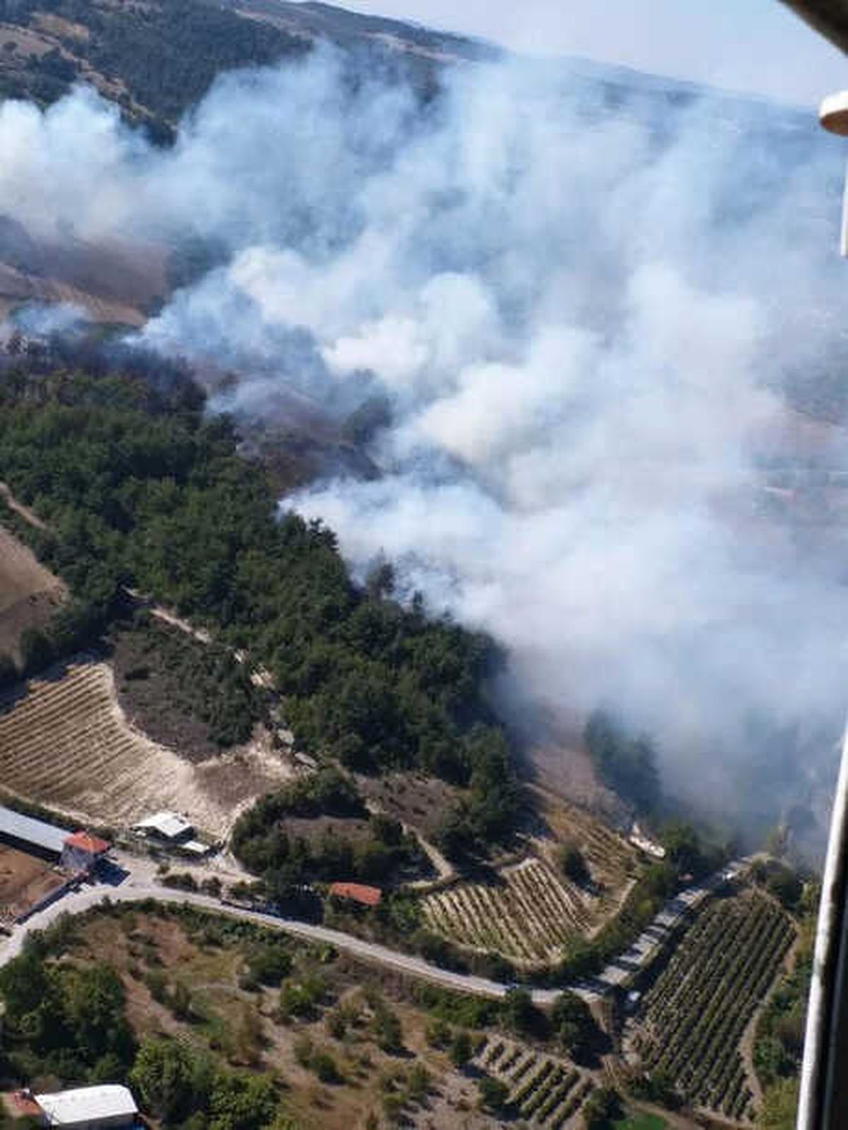 Balıkesir\'de Zirai Alanda Başlayan Yangın Ormana Sıçradı (1)