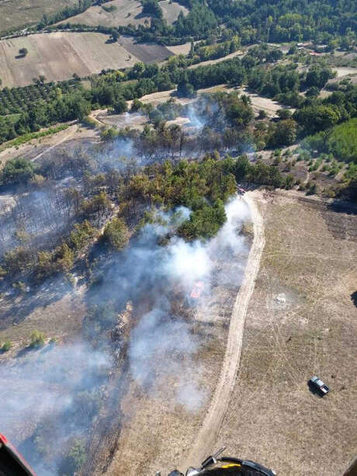 Balıkesir\'de Zirai Alanda Başlayan Yangın Ormana Sıçradı (2)