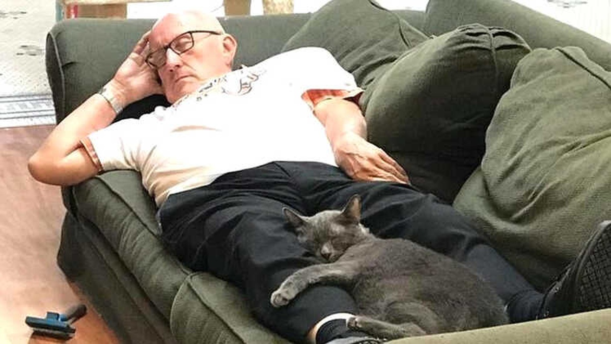 Kedi Dede\': Fotoğrafları Sayesinde Çalıştığı Hayvan Barınağına Binlerce Dolar Kazandıran Gönüllü