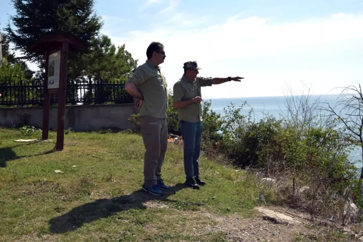 Kırklareli İğneada Longoz Ormanlarında Eko Turizm