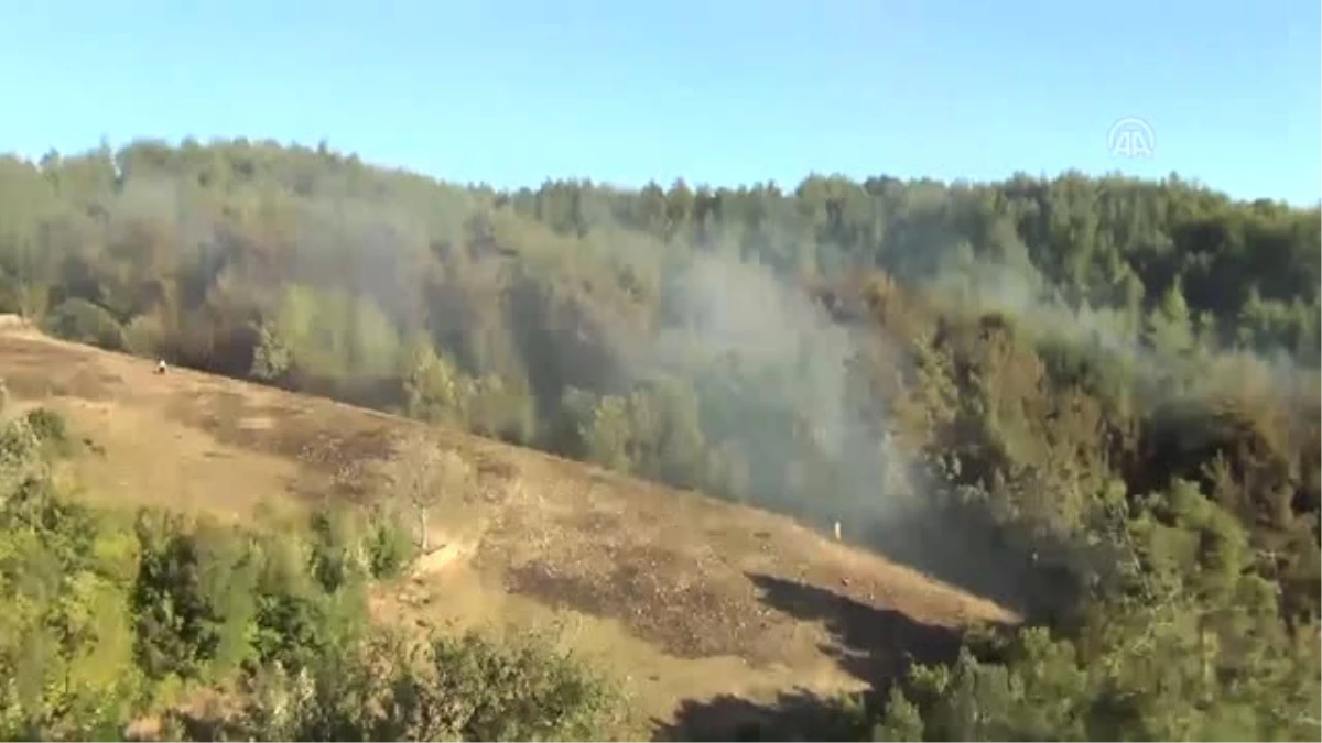 Kozan\'da Orman Yangını (2)