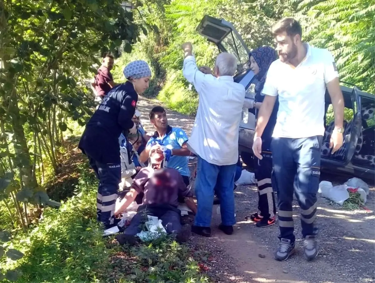 Ordu\'da Freni Patlayan Otomobil Ağaca Çarptı: 6 Yaralı