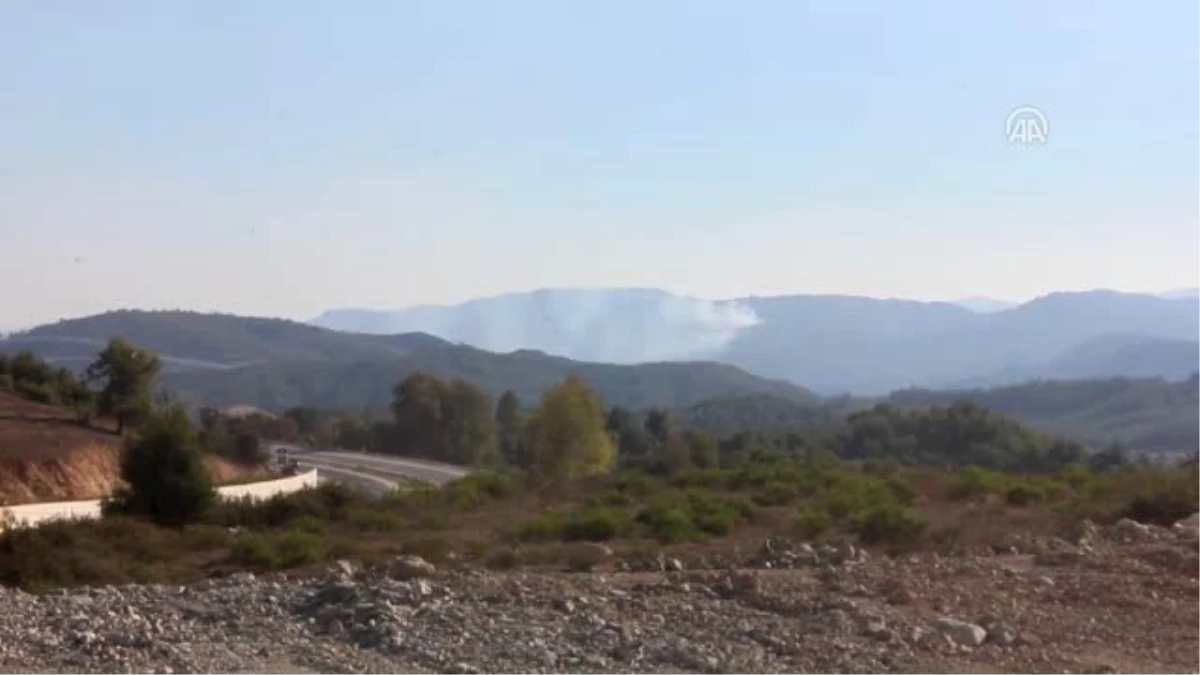 Suriye Sınırında Orman Yangını