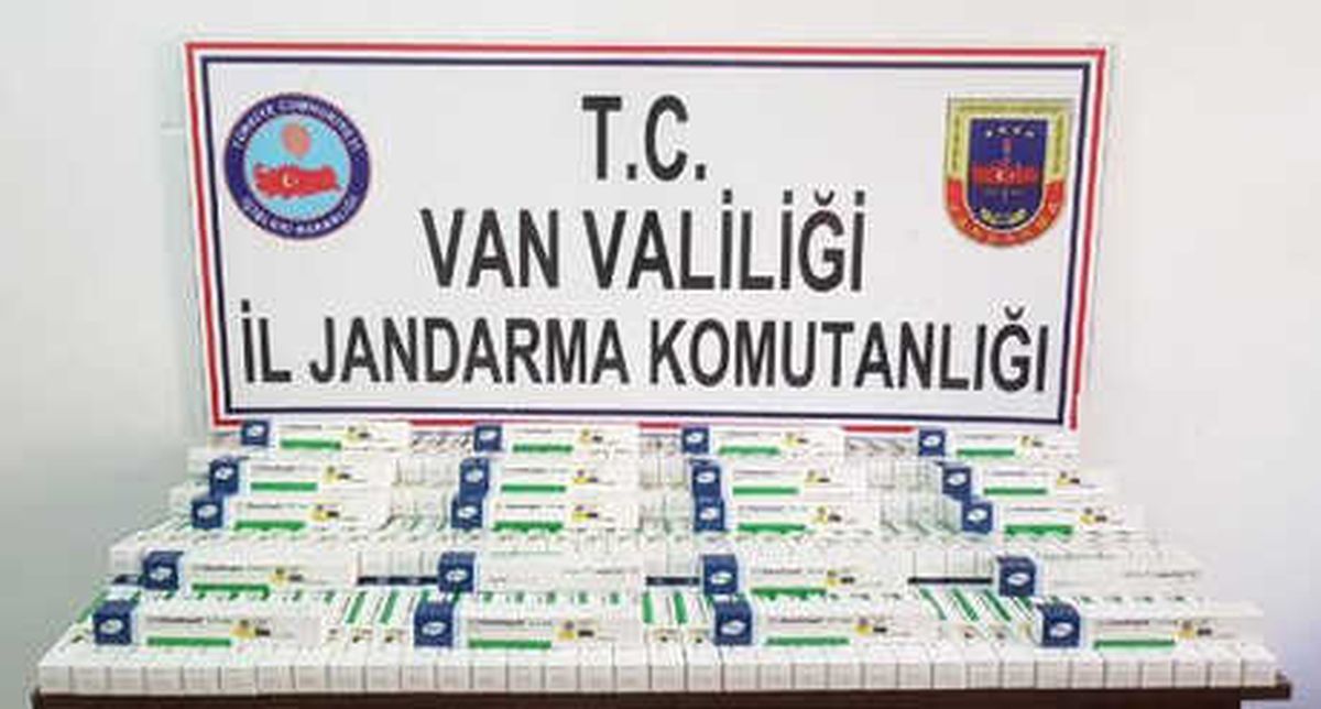 Van\'da 115 Kaçak Göçmen Yakalandı
