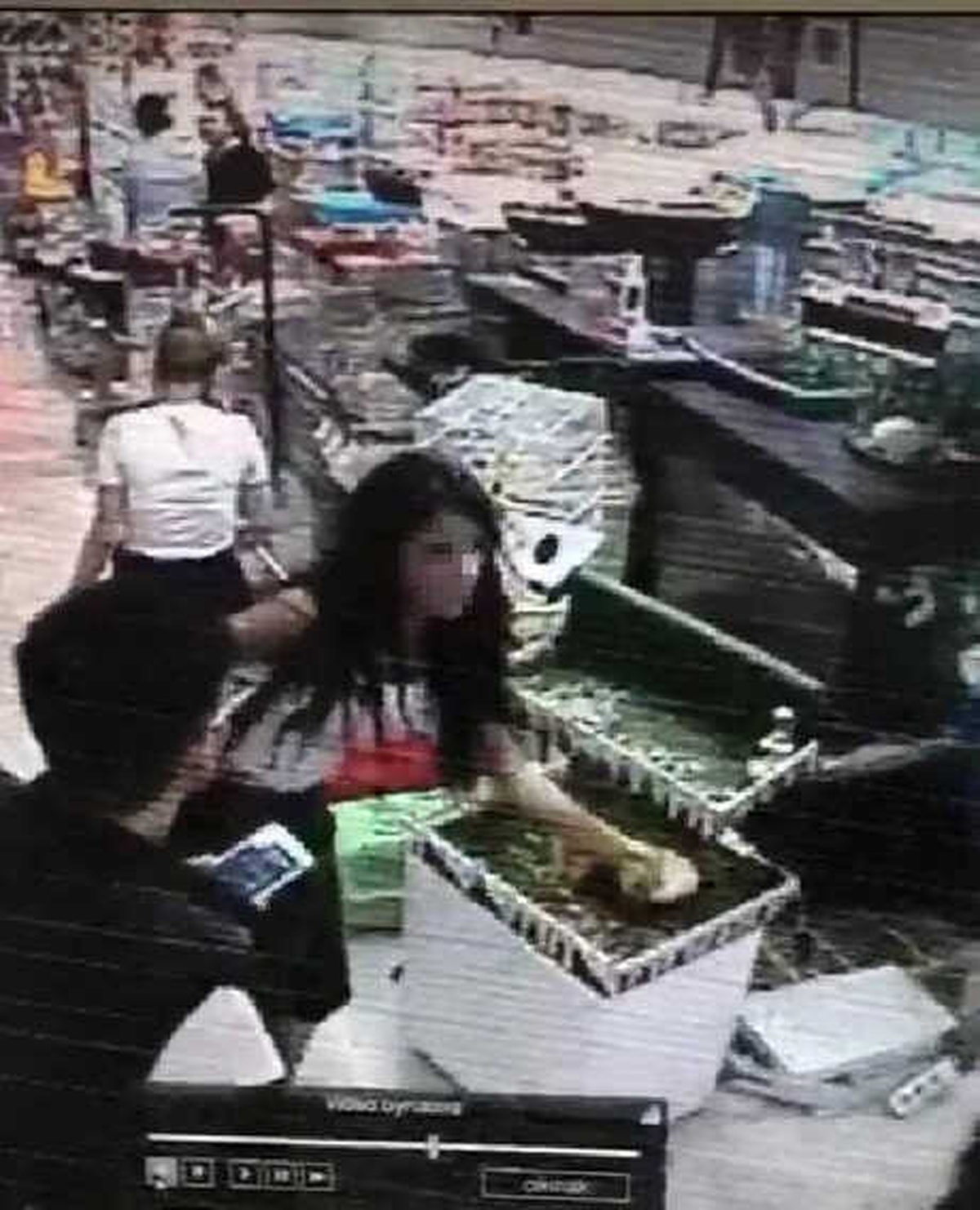 Yavru Tavşanı Çaldı, Kameraya Yakalandı