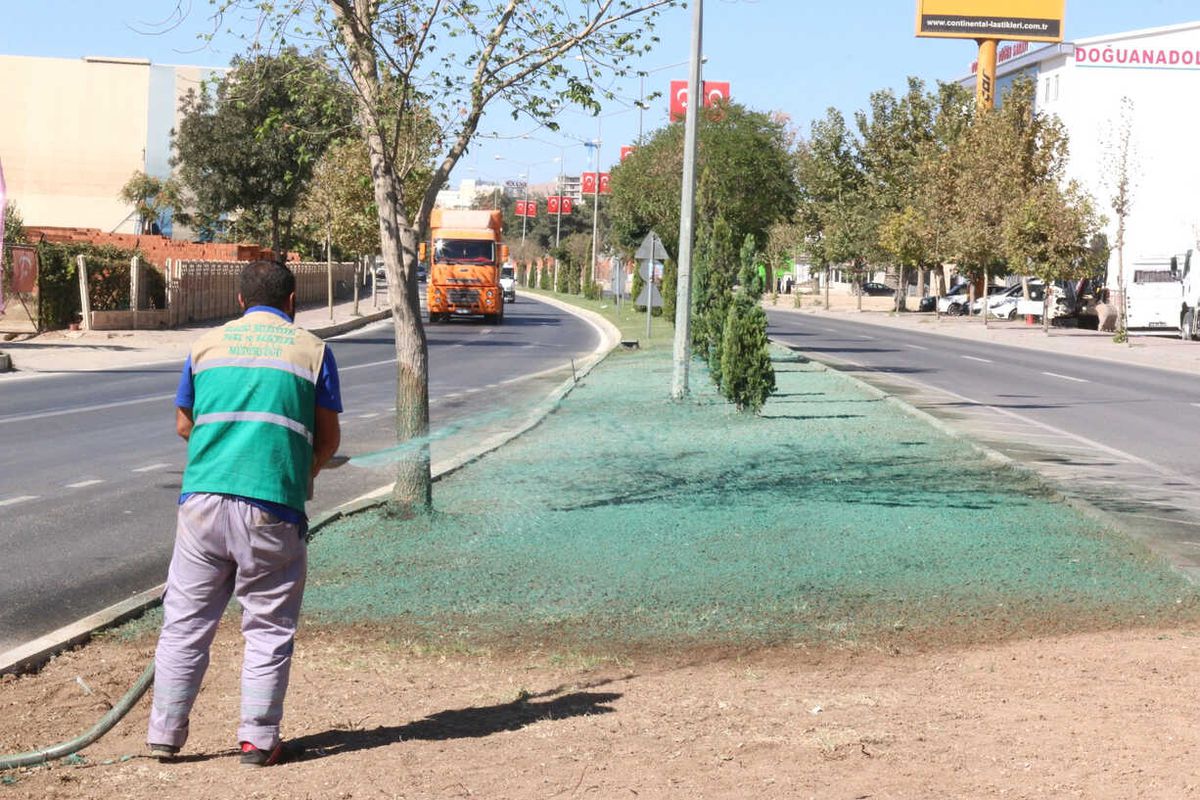 Çim Ekim Çalışması Gerçekleştirildi