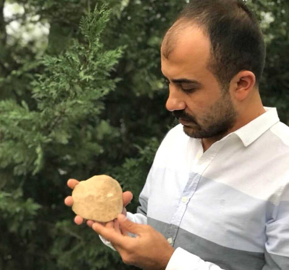Diyarbakır\'da 47 Milyon Yıllık Deniz Canlısı Fosili Bulundu