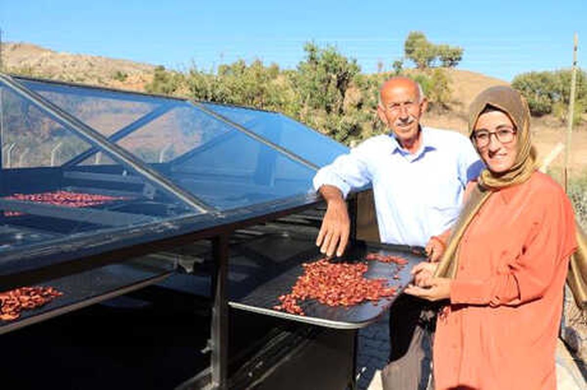 Güneş Paneliyle Kuruttuğu \'Çıtır Çilek\'lerine Pazar Arıyor