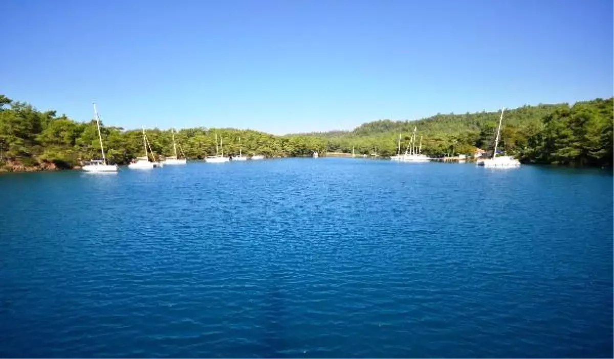 Karacasöğüt ve İngiliz Limanı\'nda Deniz Temizliği