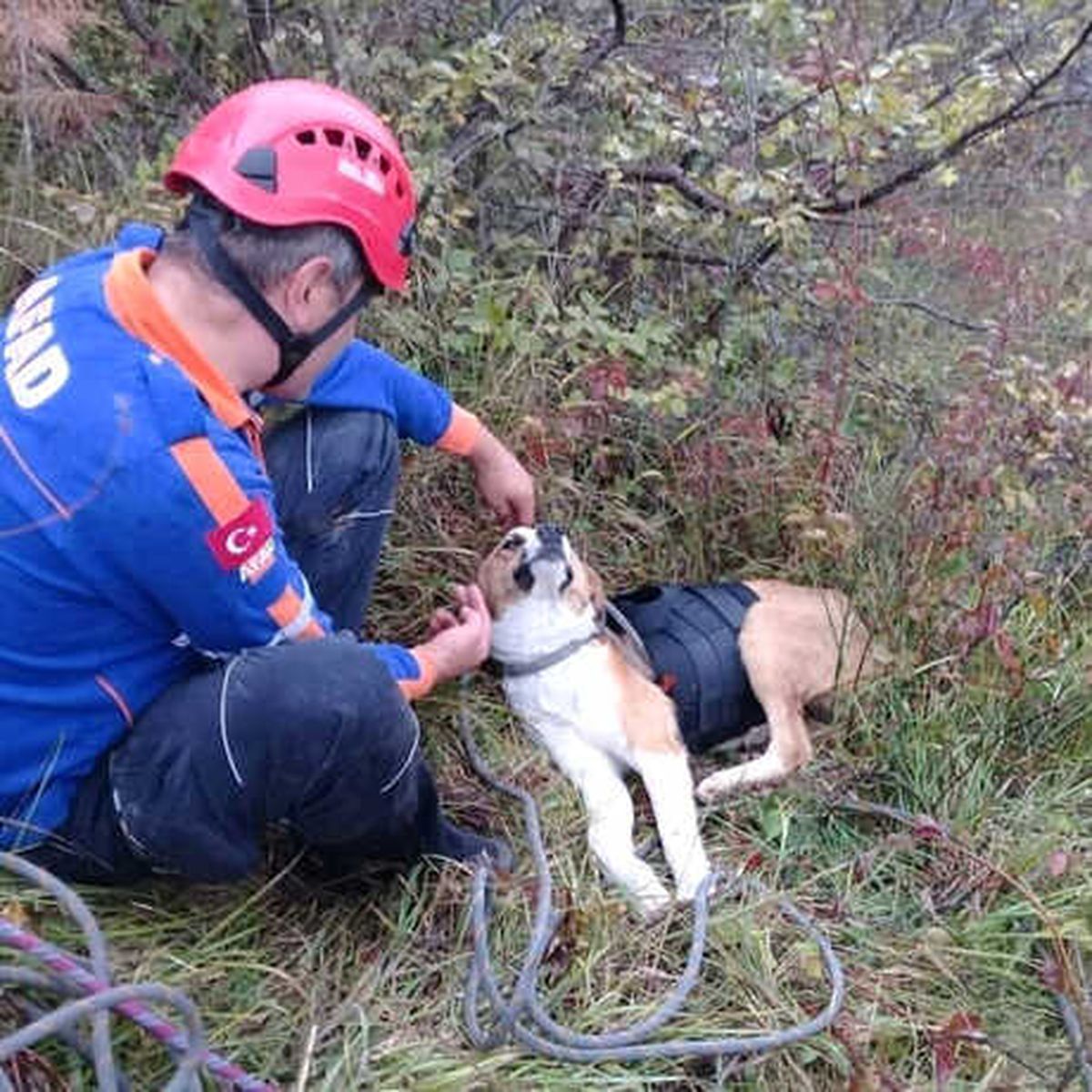 Kayalıklarda Mahsur Kalan Köpeğe Afad Şefkati