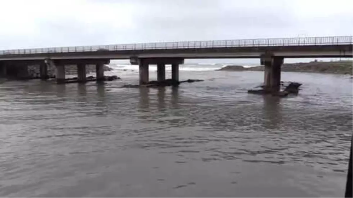 Kestane Karası Fırtınası"