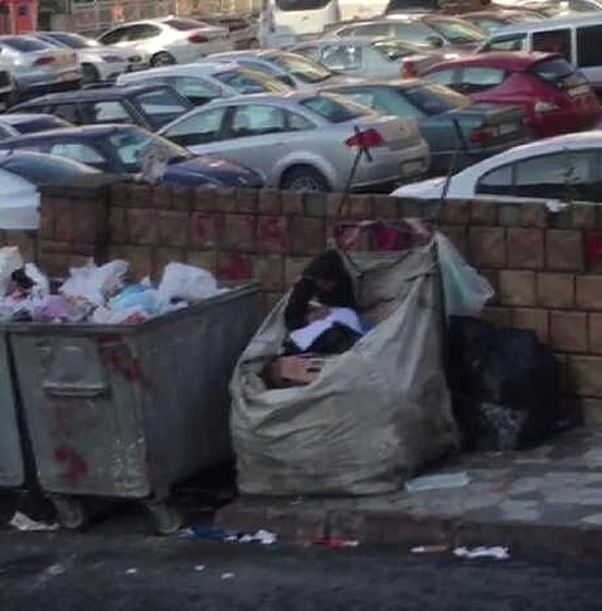 Küçük Çocuğun Atık Kağıt Toplama Arabasının İçinde Kitap Aşkı