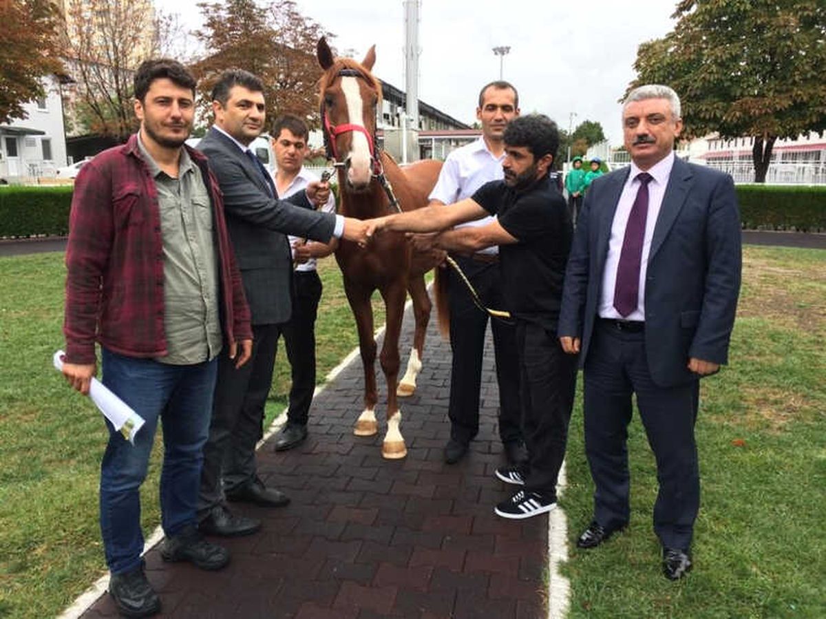 Lüks Daire Fiyatına Tay