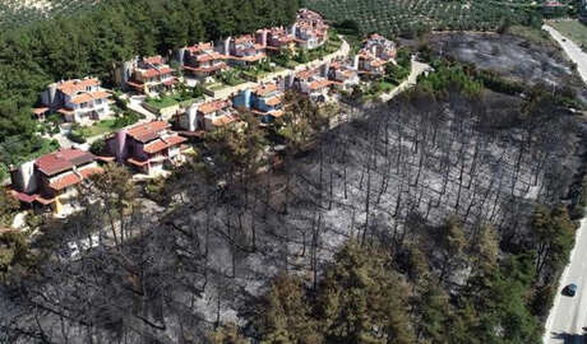 Mudanya\'da Yanan Orman Alanının Temizlenmesine Başlandı