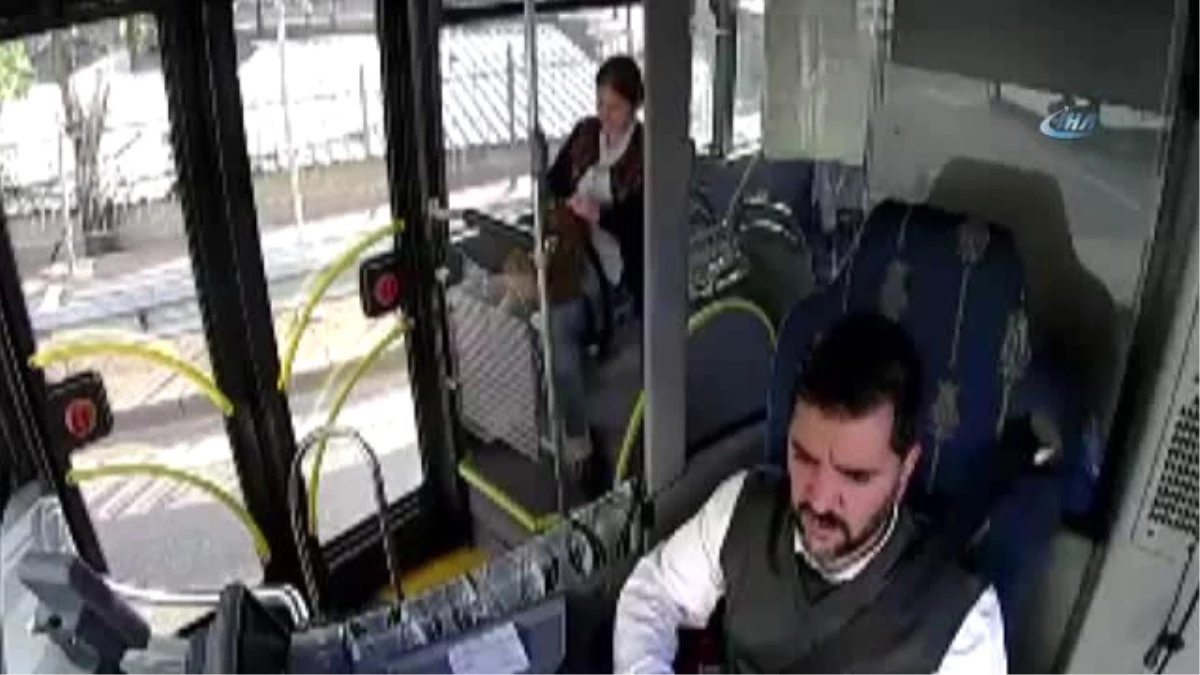 Otobüs Şoförü Minik Kediyi Ezilmekten Böyle Kurtardı