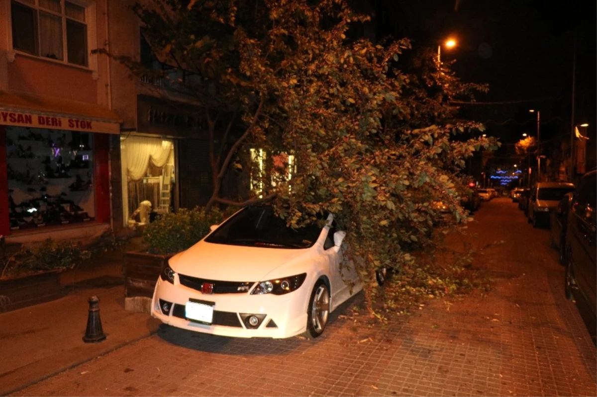İstanbul\'u Kestane Karası Fırtınası Vurdu! Ağaçlar Devrildi, Yollar Kapandı