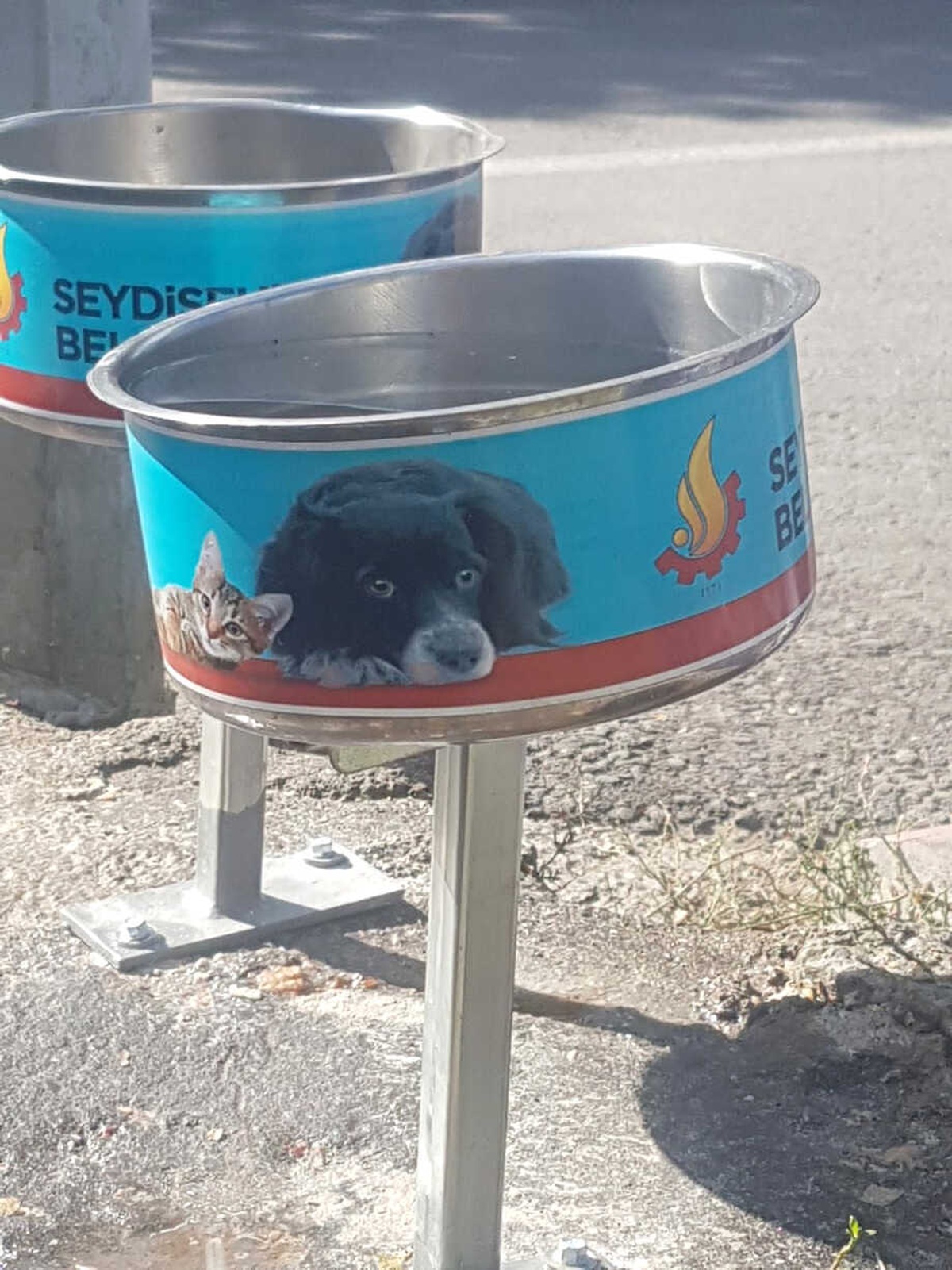 Sokak Hayvanlarına Sahip Çıkalım