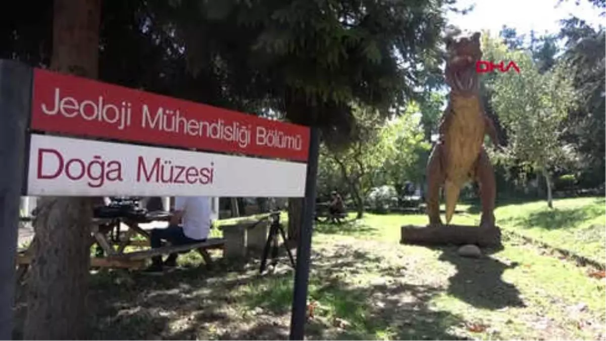 Trabzon Melih Gökçek\'in 2 Dinazor Heykeli Trabzon\'a Sergilenmeye Başlandı Hd