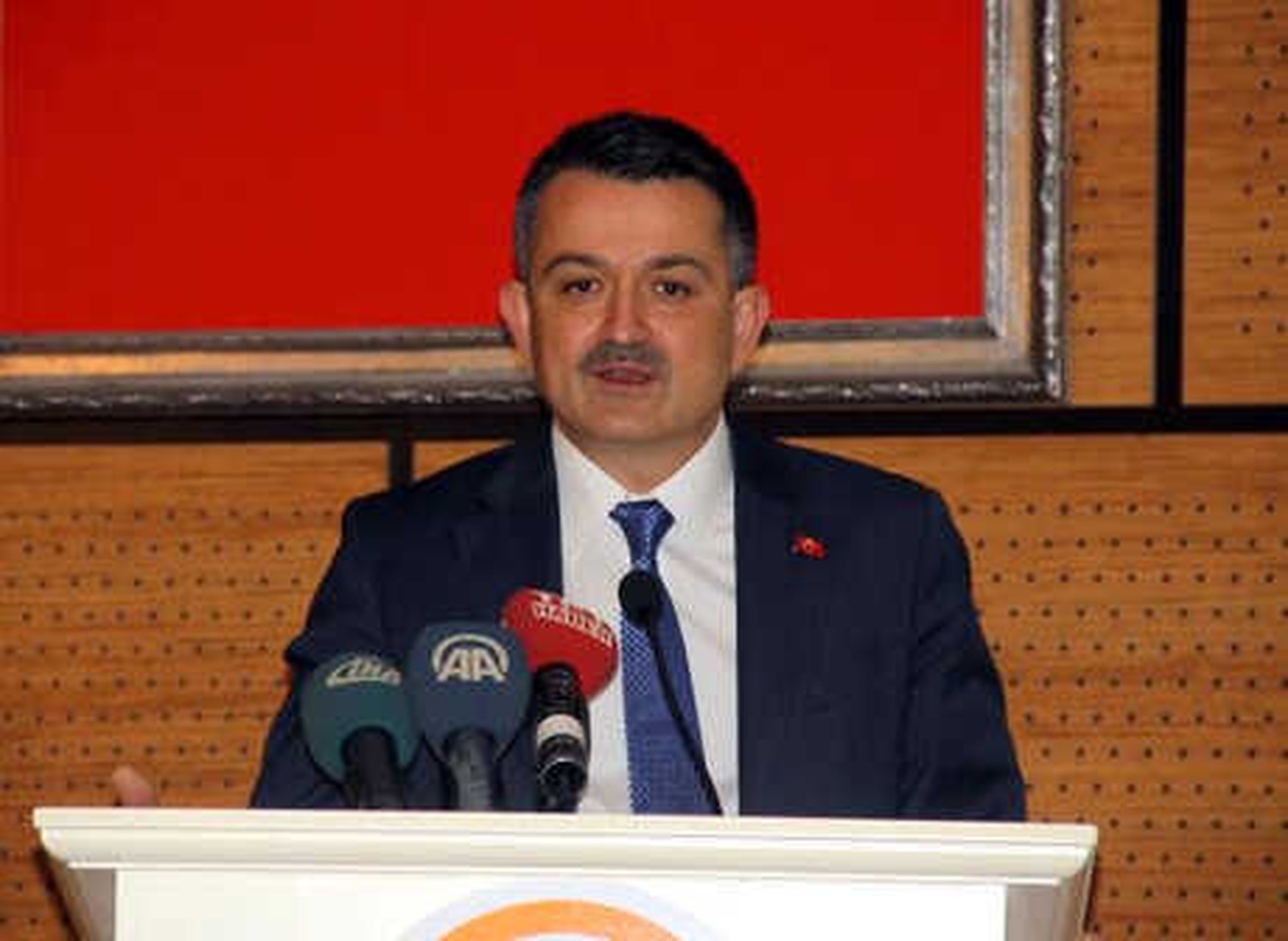 Bakan Pakdemirli, Buzağıyı Süt ile Besledi (3)