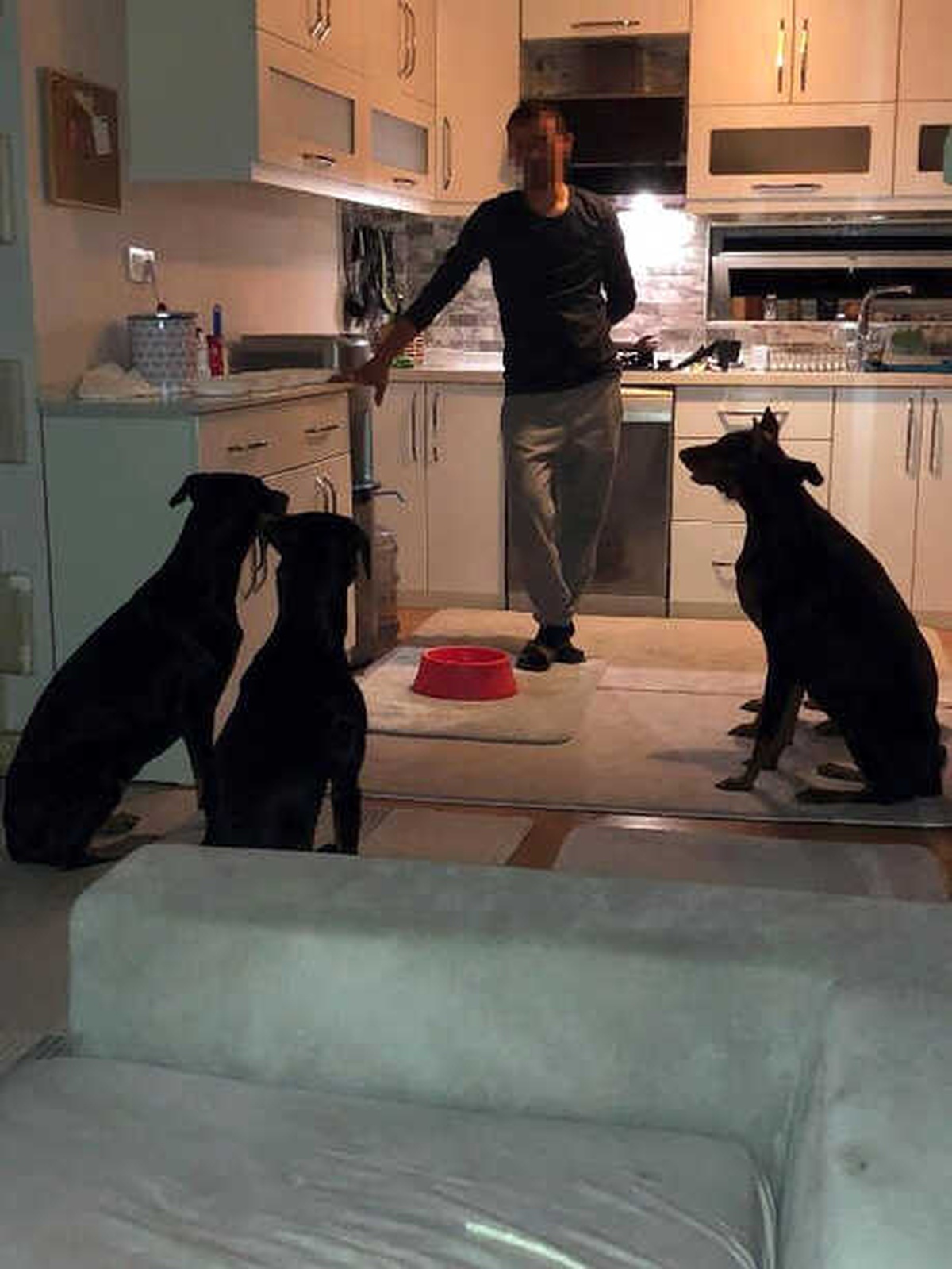 Boşanma Davası Süren Çiftin \'Köpek\' Davasında Mahkemeden Ret Kararı
