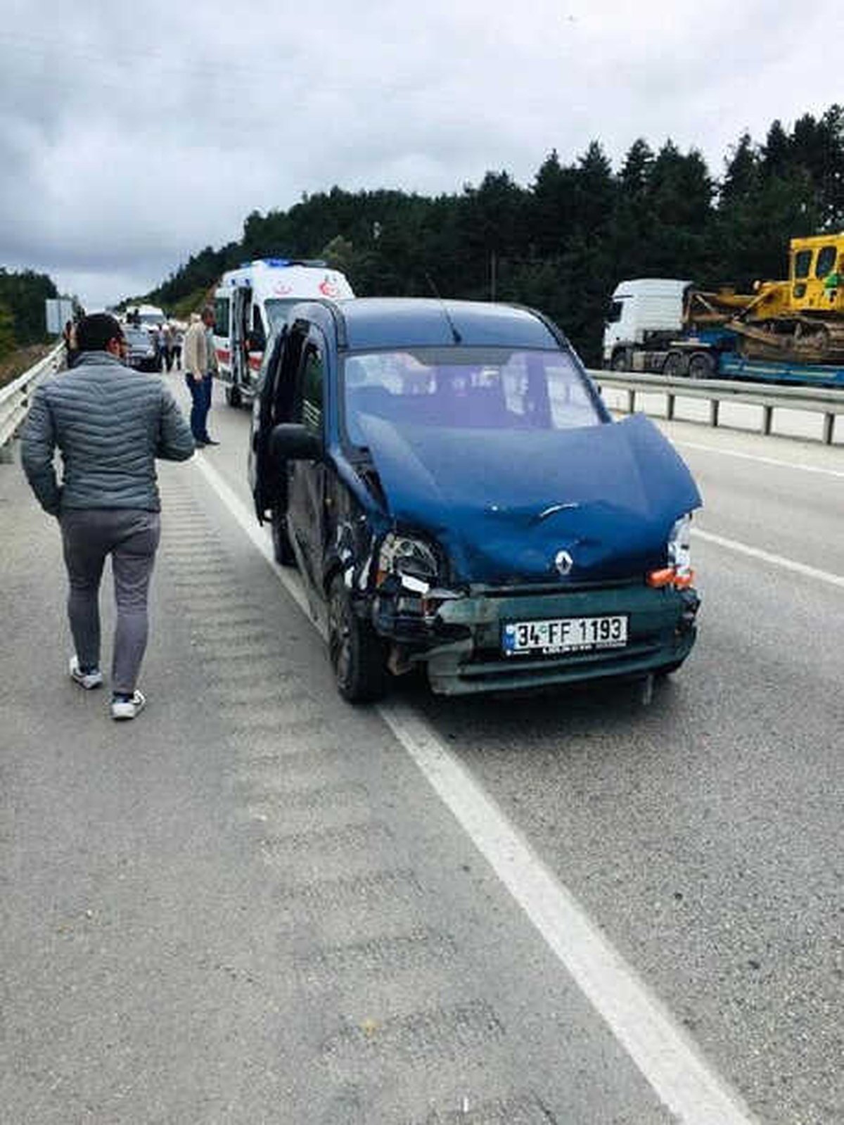 Hafif Ticari Aracın Çarptığı Bozayı Telef Oldu