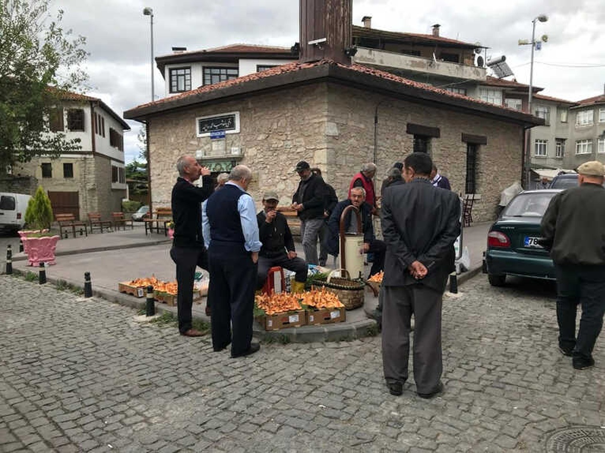 Kanlıca Mantarında Dudak Uçuklatan Fiyat