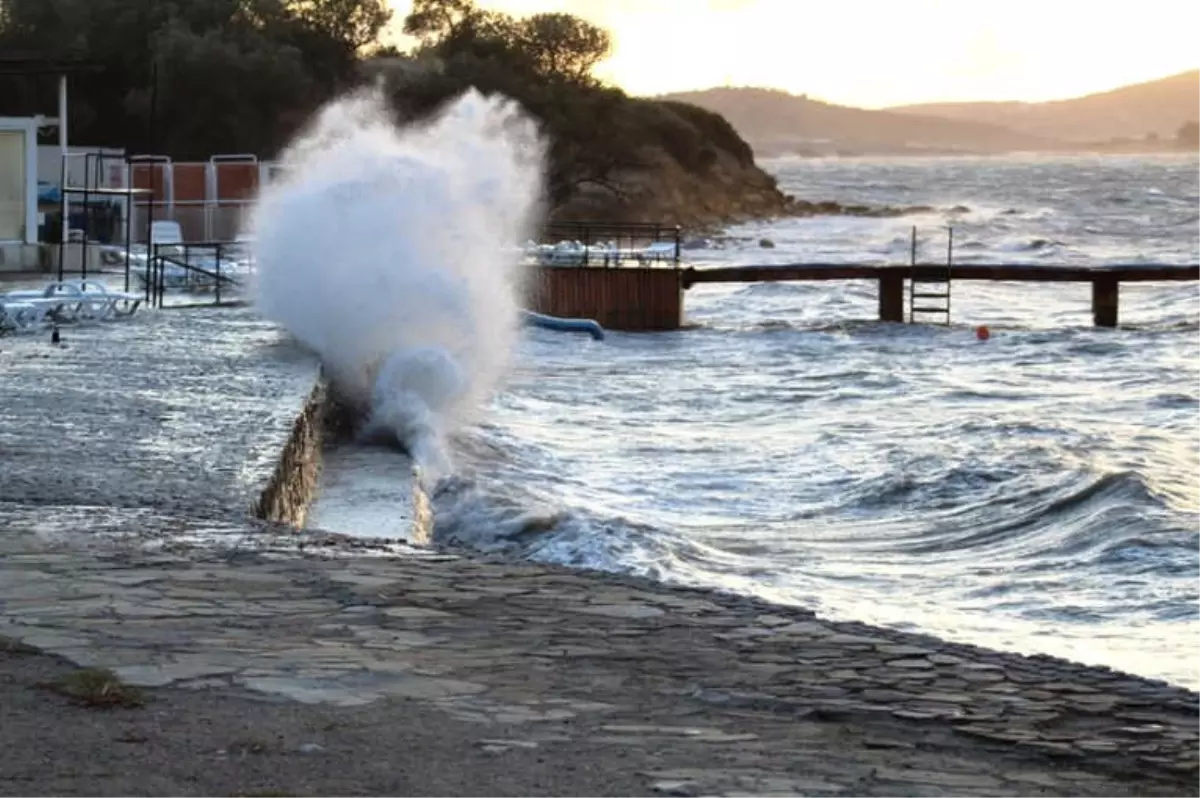 Kestane Karası\' Rüzgarı Hayatı Olumsuz Yönde Etkiliyor