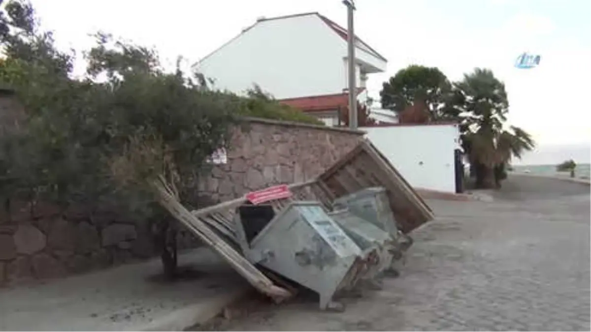 Kestane Karası\' Rüzgarı Yıkıp,döktü