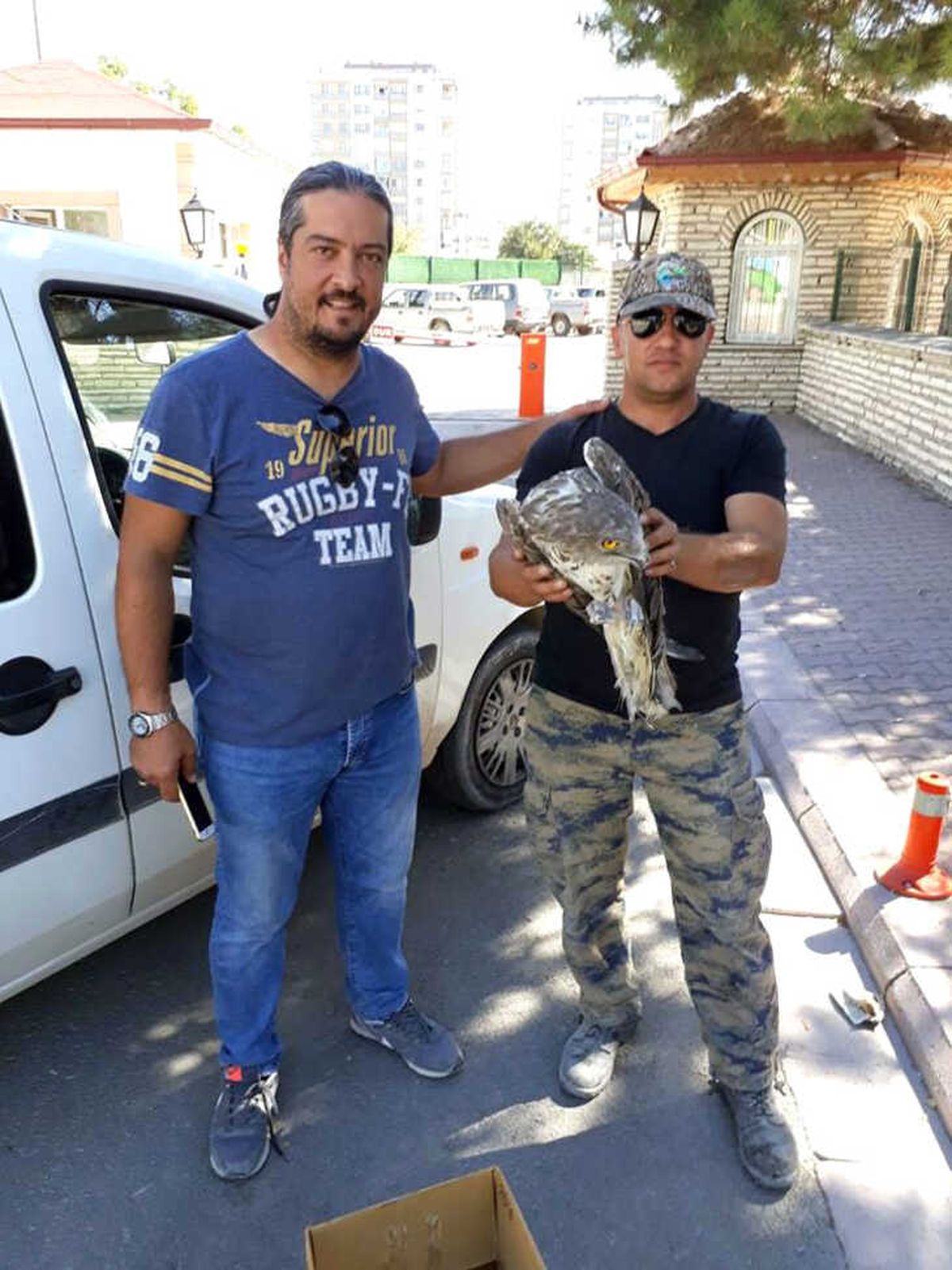 Konya\'da Yaralı Olarak Bulunan Şahin Koruma Altına Alındı