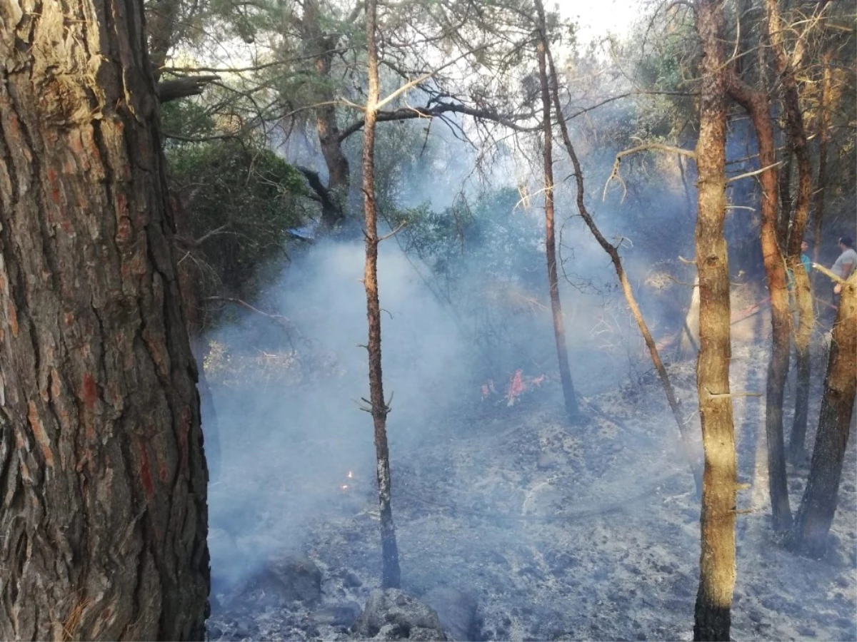 Kuşadası Dilek Yarımadası Milli Parkı\'nda Yangın