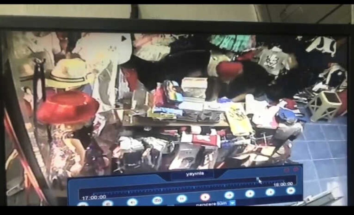 Sakarya\'da Hırsızlık Anı Güvenlik Kamerasına Yansıdı