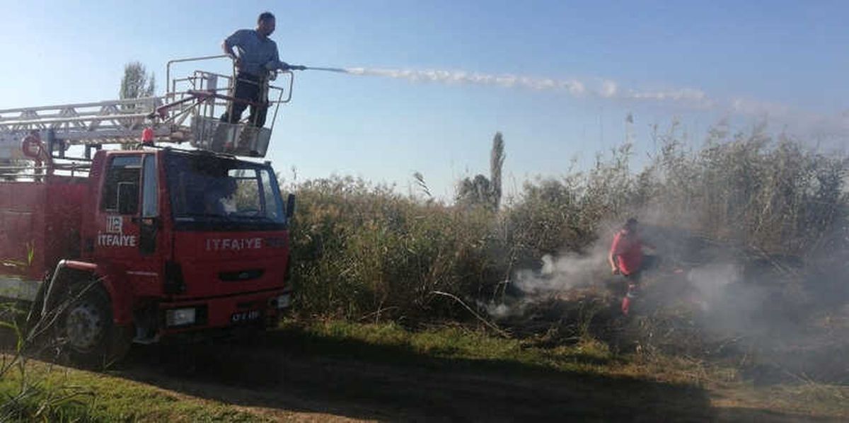 Tavşanlı\'da Ot Yangını Besi Damlarına Ulaşmadan Söndürüldü