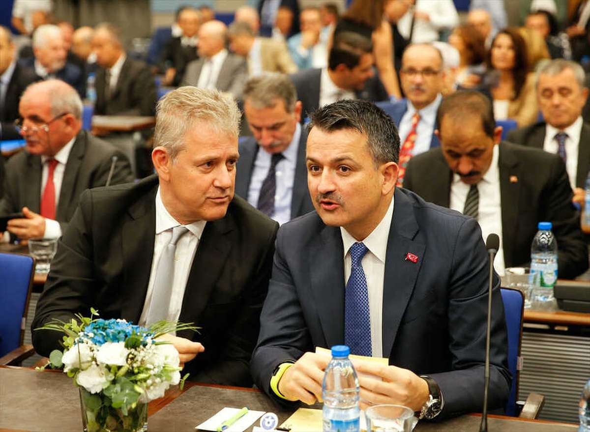 Türkiye Balık Ürünleri İhracatında 1 Milyar Doları Geçti"