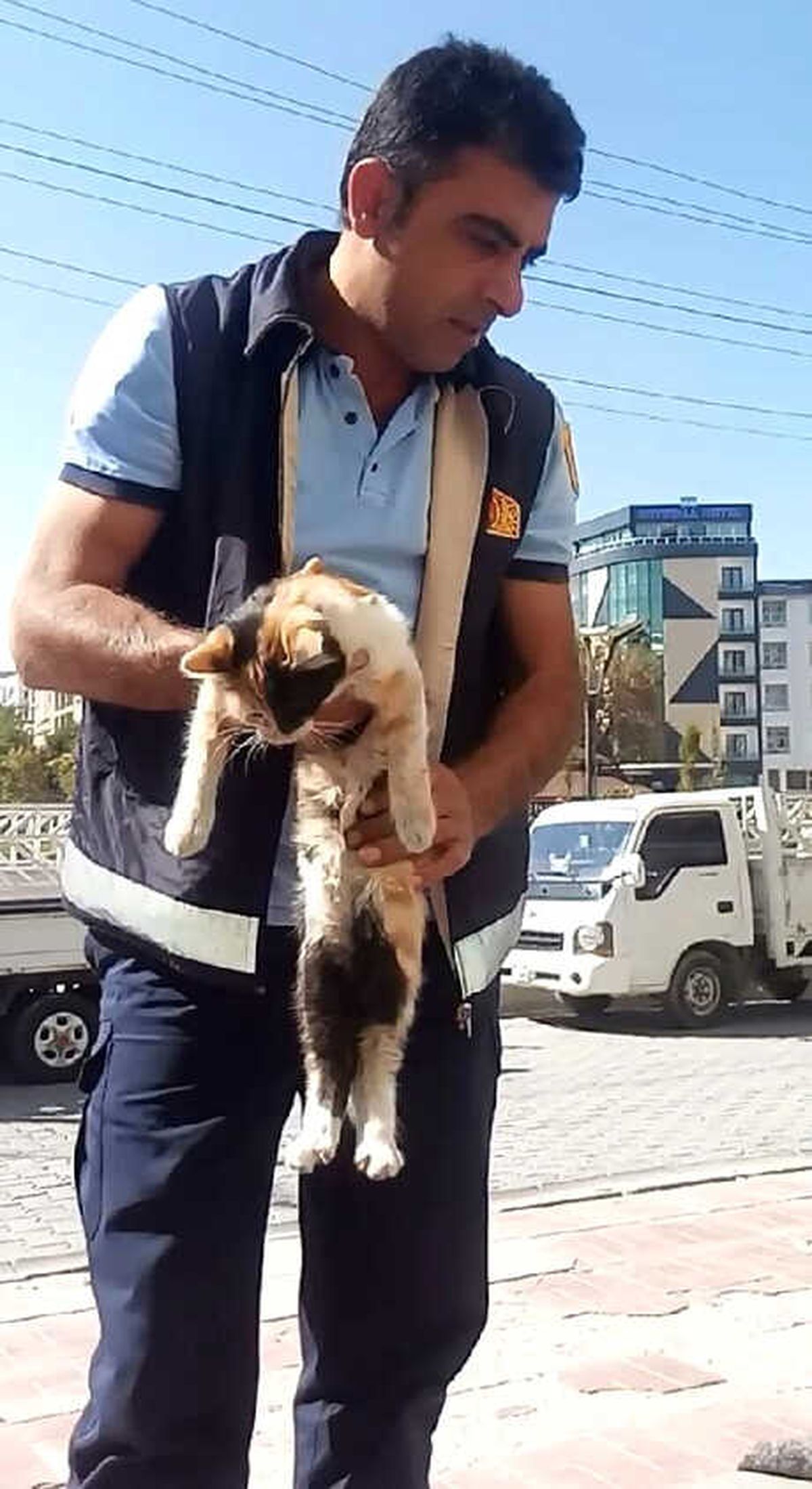 Van\'da Duvarla Tabela Arasında Sıkışan Kediyi, İtfaiye Kurtardı