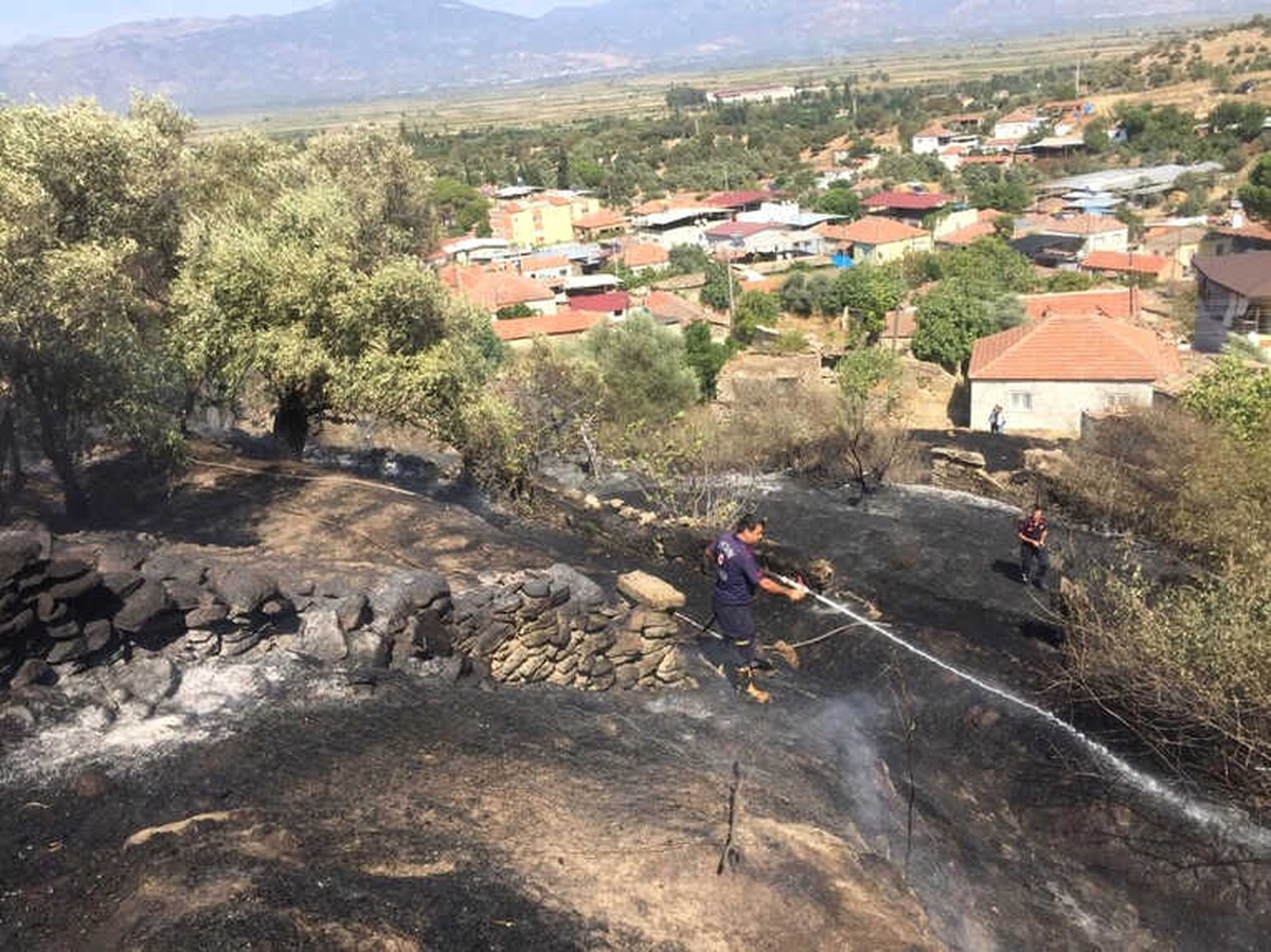 Yenipazar\'daki Yangın Evlere Sıçramadan Söndürüldü