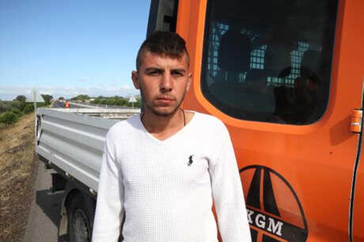 Yolcu Otobüsü Sürüye Çarptı, Çoğu Gebe 65 Koyun Telef Oldu